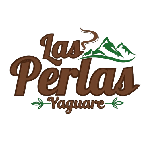 Gemini_Generated_Image_3cmjvm3cmjvm3cmj__1_-removebg-preview